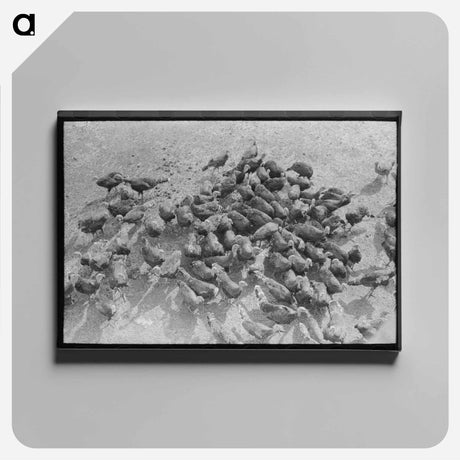 アートパネル-Indians Fishing at Celilo Falls
 - ラッセル リー Canvas.