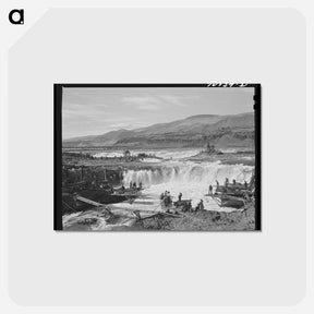 アートポストカード-Indians Fishing at Celilo Falls
 - ラッセル リー Postcard.