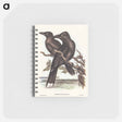 アートメモ帳-Sooty Crow-Shrike
 - オーストラリアの鳥 Memo.
