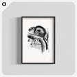 アートポスター-Lord Derby's Scaly-Tailed Squirrel
 - 大英図書館 Poster.