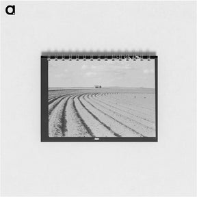 アートメモ帳-Power farming displaces tenants from the land in the western dry cotton areas. Texas Panhandle - ドロテア ラング Memo.