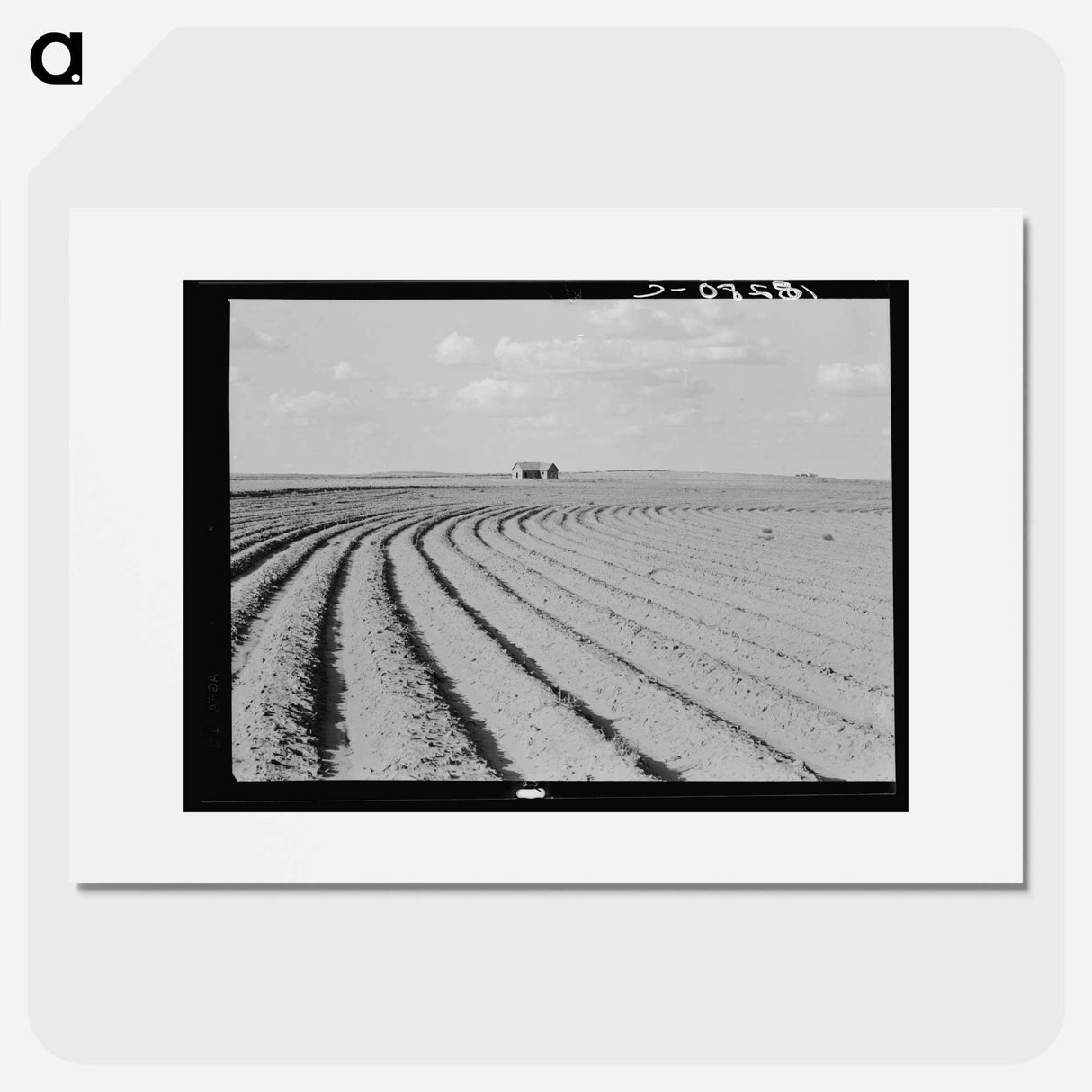 Power farming displaces tenants from the land in the western dry cotton areas. Texas Panhandle - Dorothea Lange Poster.