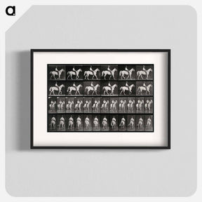 アートポスター-Man on Horse
 - エドワード マイブリッジ Poster.