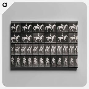 アートパネル-Man on Horse
 - エドワード マイブリッジ Canvas.