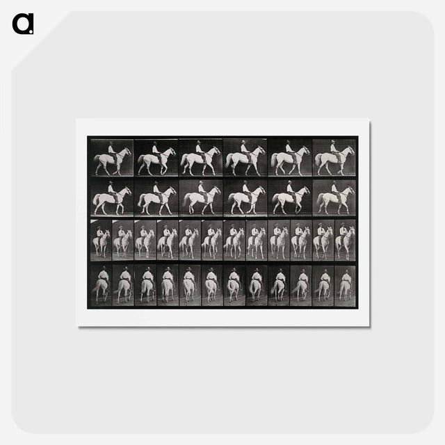 アートポストカード-Man on Horse
 - エドワード マイブリッジ Postcard.