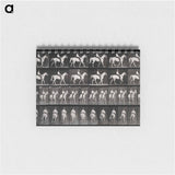 アートメモ帳-Man on Horse
 - エドワード マイブリッジ Memo.