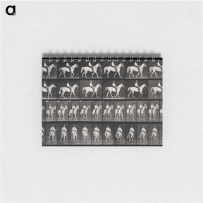 アートメモ帳-Man on Horse
 - エドワード マイブリッジ Memo.