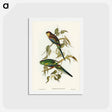 アートポストカード-Many-Coloured Parakeet
 - ジョン グールド Postcard.