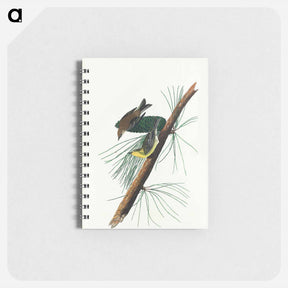 アートメモ帳-Pine Creeping Warbler
 - ジョン ジェームス オーデュボン Memo.