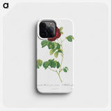 Simple-Flowered French Rose - ピエール ジョゼフ ルドゥーテ Phone Case.