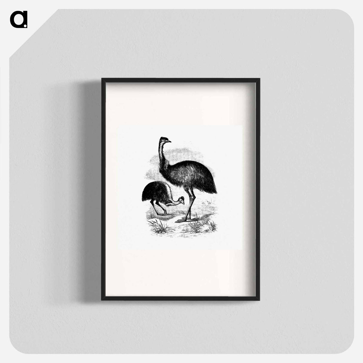 アートポスター-Cassowary
 - 大英図書館 Poster.