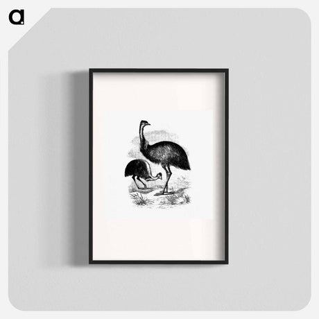 アートポスター-Cassowary
 - 大英図書館 Poster.