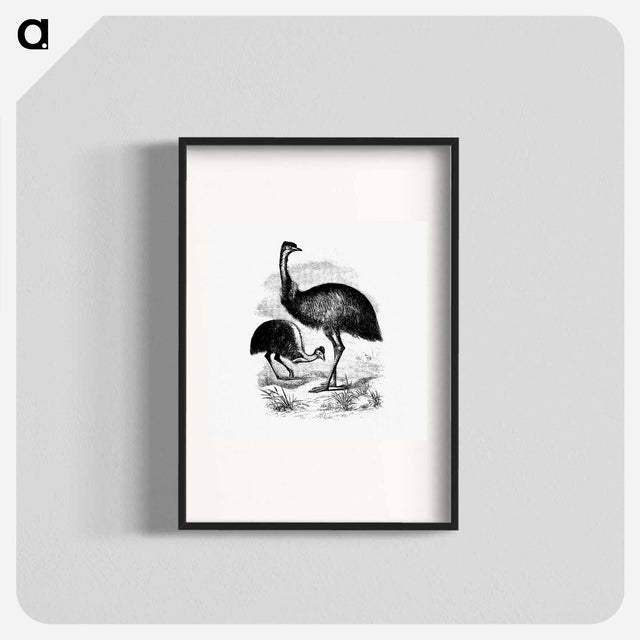 アートポスター-Cassowary
 - 大英図書館 Poster.