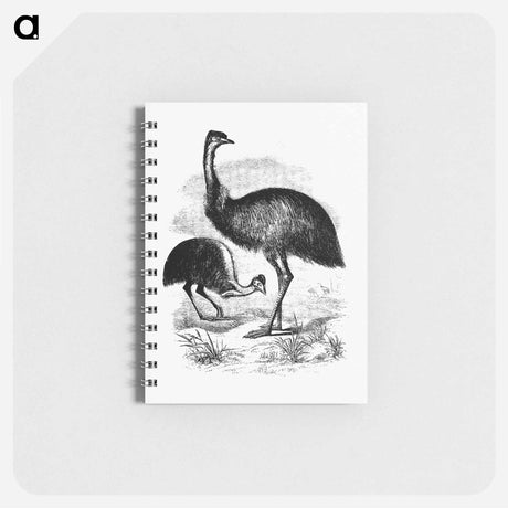 アートメモ帳-Cassowary
 - 大英図書館 Memo.