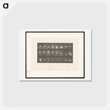 アートポストカード-Flying Cockatoo
 - エドワード マイブリッジ Postcard.