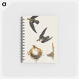 アートメモ帳-American Swift from Birds of America
 - アメリカの鳥たち Memo.