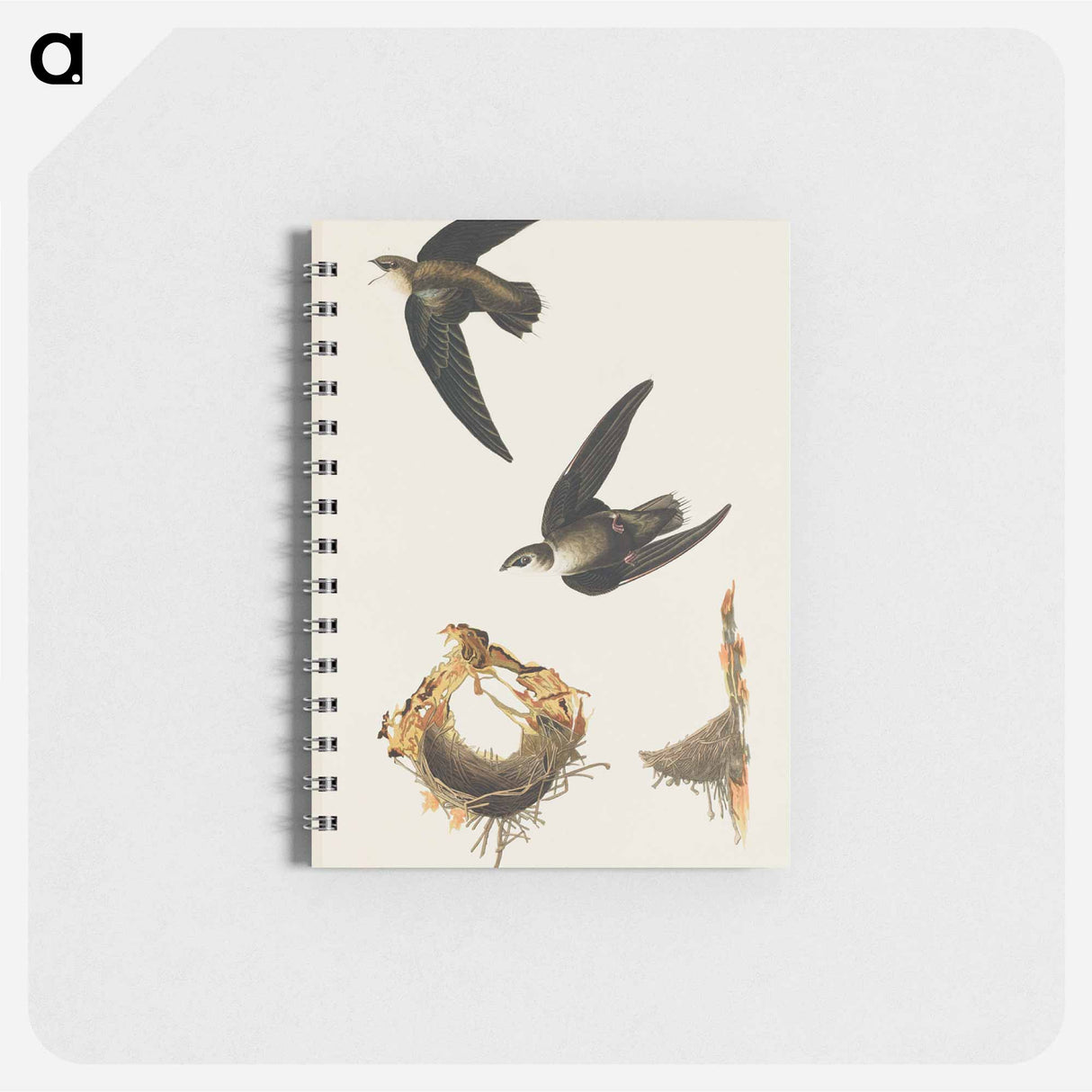 アートメモ帳-American Swift from Birds of America
 - アメリカの鳥たち Memo.
