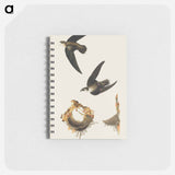 アートメモ帳-American Swift from Birds of America
 - アメリカの鳥たち Memo.