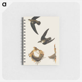アートメモ帳-American Swift from Birds of America
 - アメリカの鳥たち Memo.