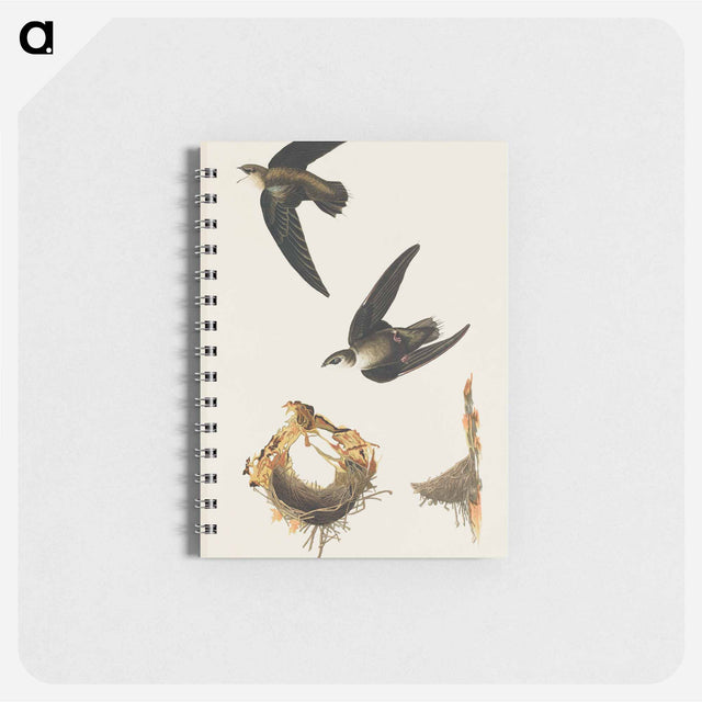 アートメモ帳-American Swift from Birds of America
 - アメリカの鳥たち Memo.