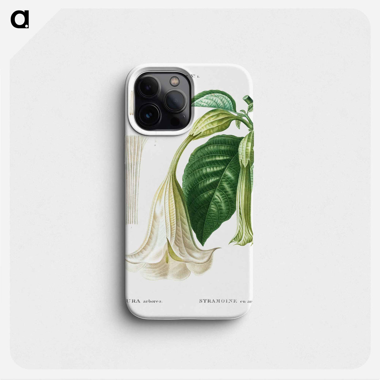 Angel's trumpet - ピエール ジョゼフ ルドゥーテ Phone Case.