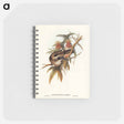 アートメモ帳-Helmeted Honey-eater
 - オーストラリアの鳥 Memo.