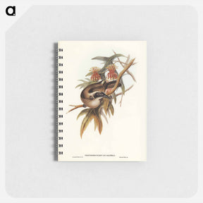 アートメモ帳-Helmeted Honey-eater
 - オーストラリアの鳥 Memo.