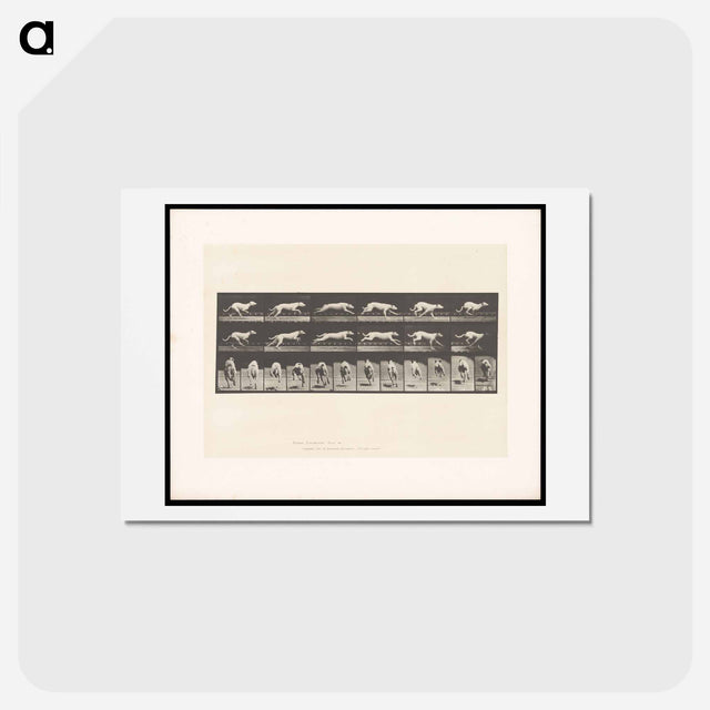 アートポストカード-Running Dog
 - エドワード マイブリッジ Postcard.