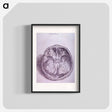 アートポスター-Superior View of the Base of the Skull
 - 国立医学図書館 Poster.