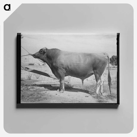 アートパネル-Mule-Drawn Combine
 - ラッセル リー Canvas.