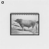 アートメモ帳-Mule-Drawn Combine
 - ラッセル リー Memo.