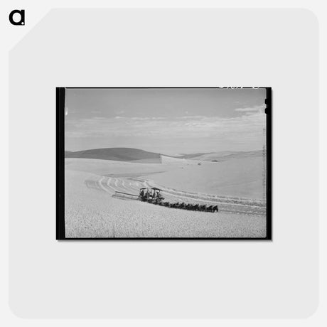 アートポストカード-Mule-Drawn Combine
 - ラッセル リー Postcard.