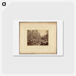 アートポストカード-Yo-Sem-I-Te Valley, California
 - エドワード マイブリッジ Postcard.