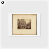アートポストカード-Yo-Sem-I-Te Valley, California
 - エドワード マイブリッジ Postcard.