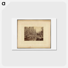 アートポストカード-Yo-Sem-I-Te Valley, California
 - エドワード マイブリッジ Postcard.
