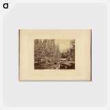 アートポストカード-Yo-Sem-I-Te Valley, California
 - エドワード マイブリッジ Postcard.