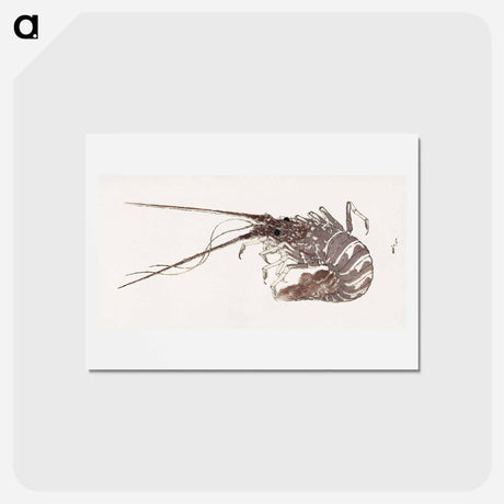 アートポストカード-Hokusai's Large Lobster - 葛飾 北斎 Postcard.