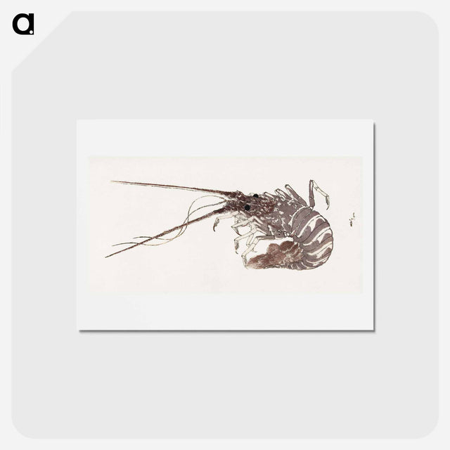 アートポストカード-Hokusai's Large Lobster - 葛飾 北斎 Postcard.