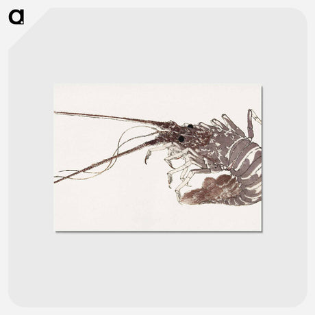 アートポストカード-Hokusai's Large Lobster - 葛飾 北斎 Postcard.