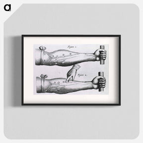 アートポスター-Circulation of the Blood
 - 国立医学図書館 Poster.