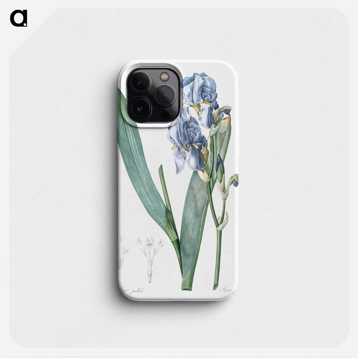 Dalmatian iris illustration - ピエール ジョゼフ ルドゥーテ Phone Case.