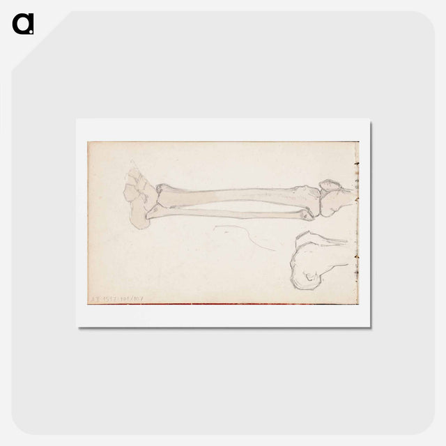 アートポストカード-(unknown)part of a sketchbook - アルバート エーデルフェルト Postcard.