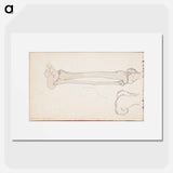 (unknown)part of a sketchbook - アルバート エーデルフェルト Poster.