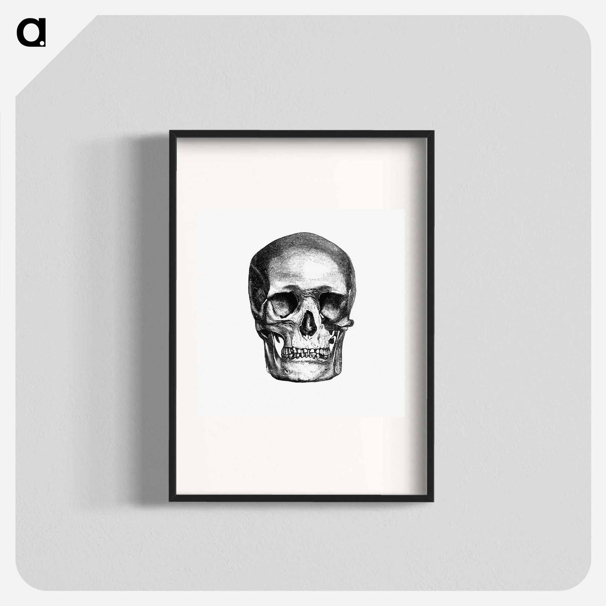 アートポスター-Skull Engraving, Annals of Winchcombe and Sudeley
 - 大英図書館 Poster.