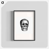 アートポスター-Skull Engraving, Annals of Winchcombe and Sudeley
 - 大英図書館 Poster.