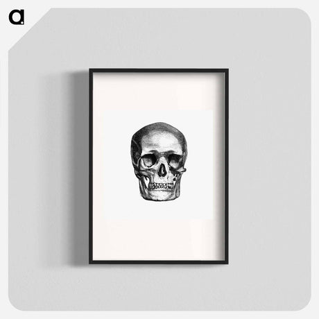 アートポスター-Skull Engraving, Annals of Winchcombe and Sudeley
 - 大英図書館 Poster.