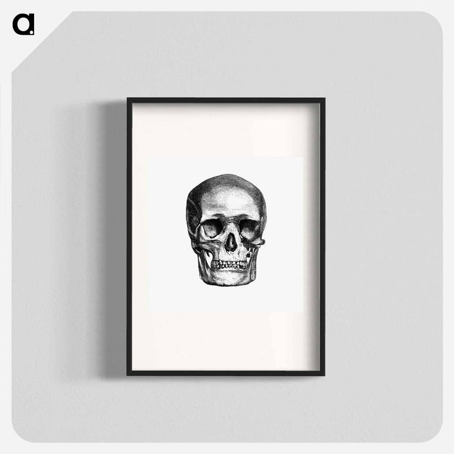 アートポスター-Skull Engraving, Annals of Winchcombe and Sudeley
 - 大英図書館 Poster.