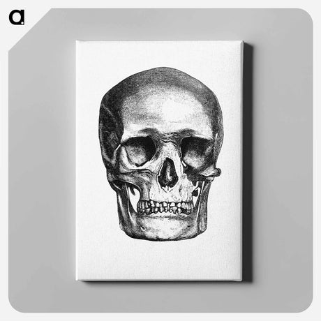 アートパネル-Skull Engraving, Annals of Winchcombe and Sudeley
 - 大英図書館 Canvas.