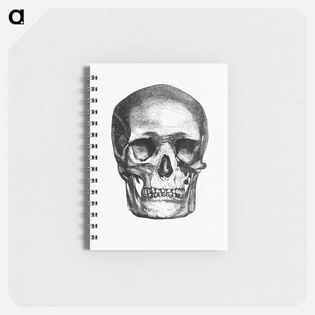 アートメモ帳-Skull Engraving, Annals of Winchcombe and Sudeley
 - 大英図書館 Memo.