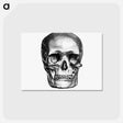 アートポストカード-Skull Engraving, Annals of Winchcombe and Sudeley
 - 大英図書館 Postcard.